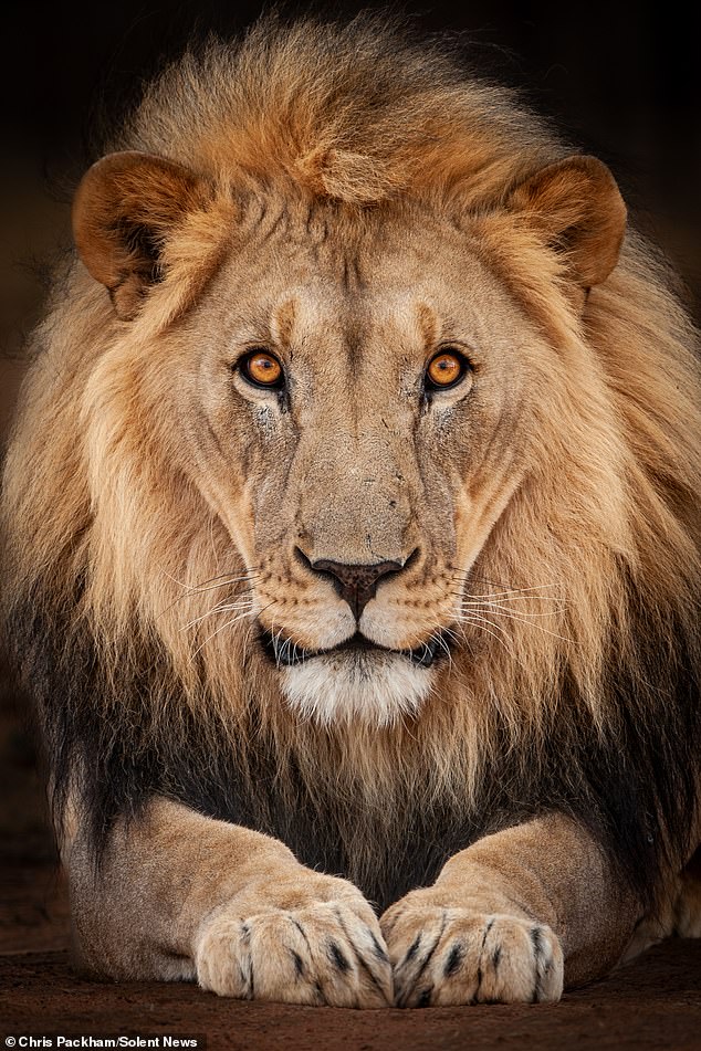 Chris Packham's 'More Beautiful Than You' Exhibition Combines Science and Art to Reveal Nature's Hidden Beauty