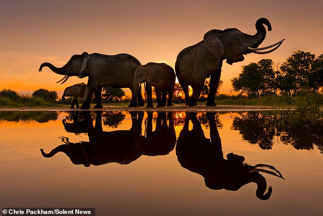 Chris Packham's 'More Beautiful Than You' Exhibition Combines Science and Art to Reveal Nature's Hidden Beauty