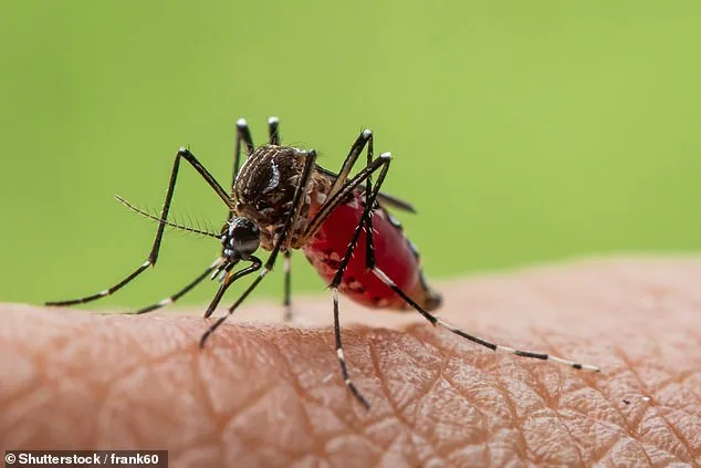 Climate Change Fuels Dengue Surge in Peru as 2023 Cyclone Triggers Tenfold Increase in Cases
