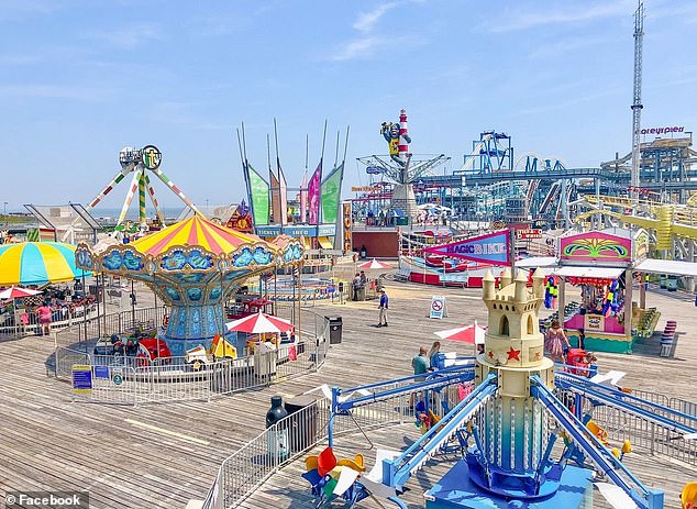 New Jersey Man's Light Sentence for Killing Seagull Sparks Nationwide Outrage