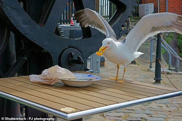 New Jersey Man's Light Sentence for Killing Seagull Sparks Nationwide Outrage