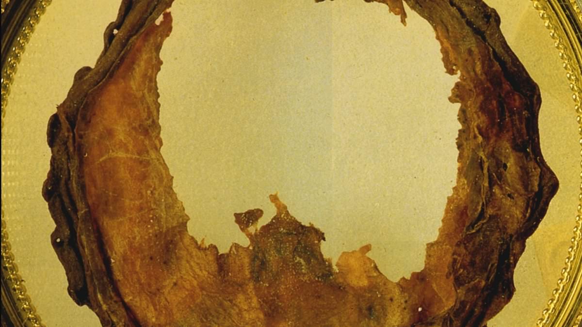 Unraveling the Mystery: Eucharistic Transformations Challenge Faith and Science