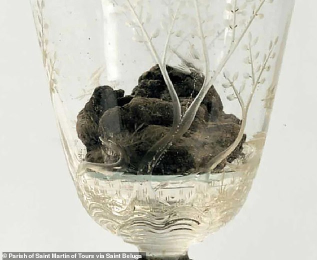 Unraveling the Mystery: Eucharistic Transformations Challenge Faith and Science