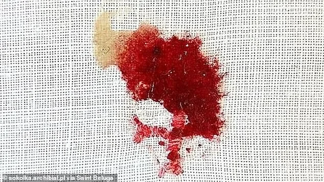 Unraveling the Mystery: Eucharistic Transformations Challenge Faith and Science