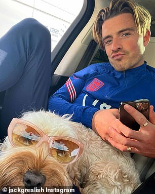 Cockapoos Face Higher Behavioral Risks, Study Reveals