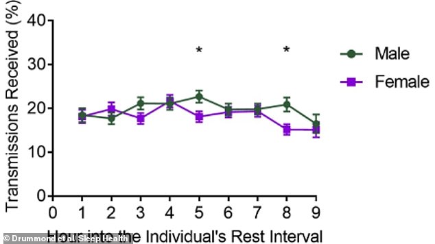 Sleep Divorce Gains Momentum as Study Highlights Co-Sleeping Disruptions
