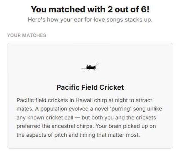 Listen to the Wild: A Quiz Reveals Nature's Hidden Symphony