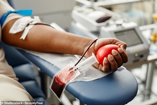TSA Agents in Crisis as Government Shutdown Forces Blood Sales for Basic Needs