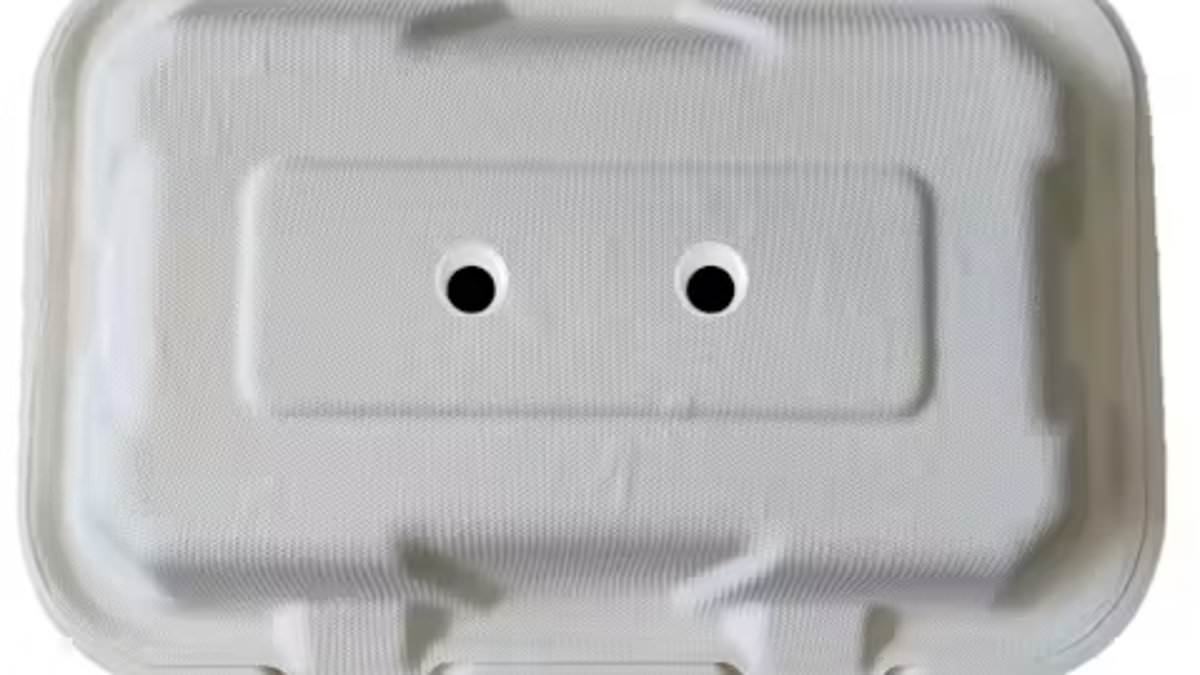 University of Exeter study shows googly eyes can outwit seagulls—here's how