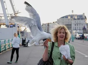 University of Exeter study shows googly eyes can outwit seagulls—here's how