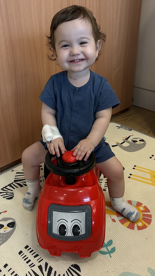 Breakthrough in Medical Science: Lab-Grown Oesophagus Offers New Hope for Babies with Severe Birth Defects