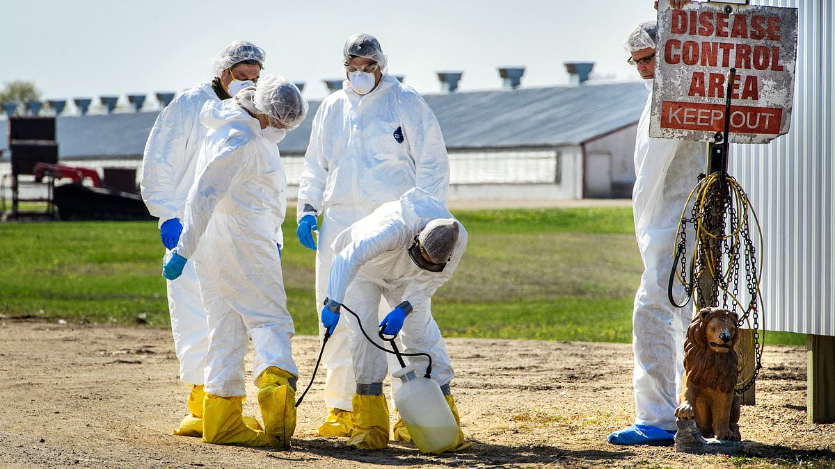 First-Ever Bird Flu Cases in Marine Mammals in California Raise Mutation Concerns