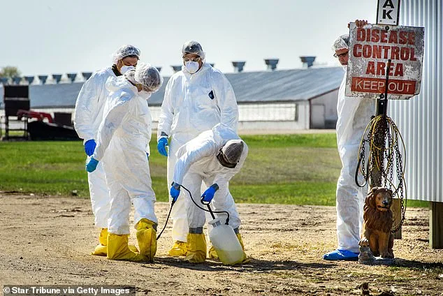 First-Ever Bird Flu Cases in Marine Mammals in California Raise Mutation Concerns