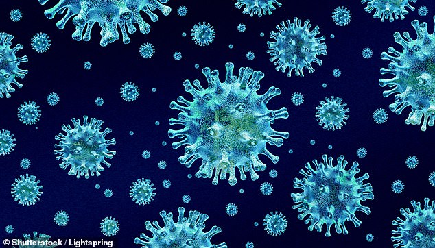 First-Ever Bird Flu Cases in Marine Mammals in California Raise Mutation Concerns