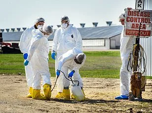 First-Ever Bird Flu Cases in Marine Mammals in California Raise Mutation Concerns