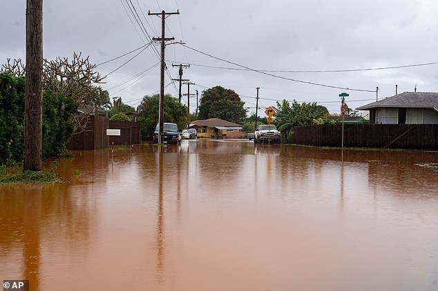 Hawaii's Largest Flood in 20 Years: Over 230 Rescued as Storm Unleashes Fury