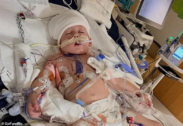 Tragic Journey of a Utah Family After 3-Year-Old's Sudden Death From Rapidly Escalating Illness