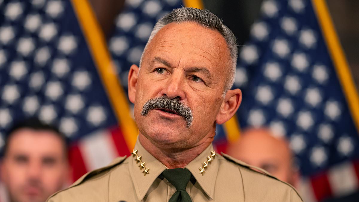 Riverside Sheriff Seizes Over 650,000 Ballots in Election Integrity Probe, Sparks Backlash