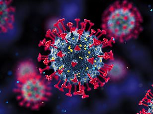 Diet May Reduce Dementia Risk for APOE4 Carriers, Study Suggests