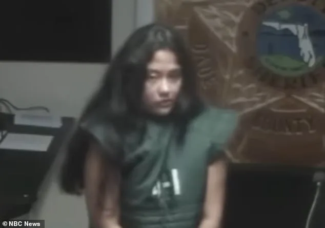 Florida Mother Avoids Jail Time After Attempting to Hire Hitman to Kill Son, Sparking Debate on Mental Health and Legal Accountability