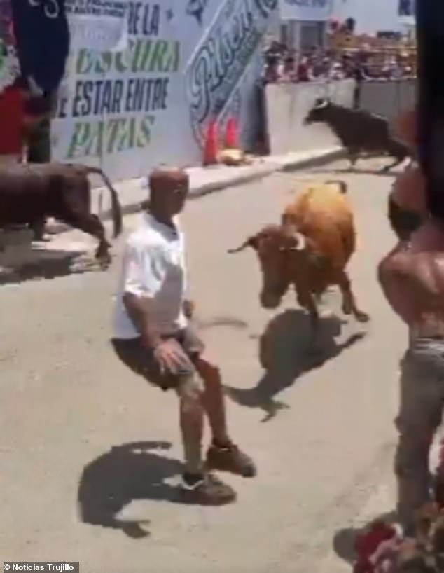 Miraculous Survival as Bull Attack Leaves Man Motionless at Peruvian Festival