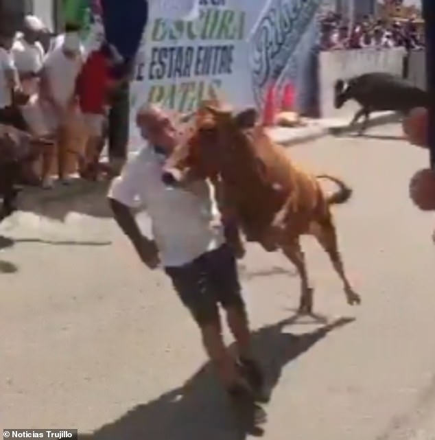 Miraculous Survival as Bull Attack Leaves Man Motionless at Peruvian Festival