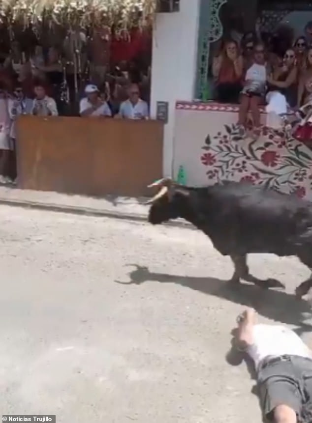Miraculous Survival as Bull Attack Leaves Man Motionless at Peruvian Festival