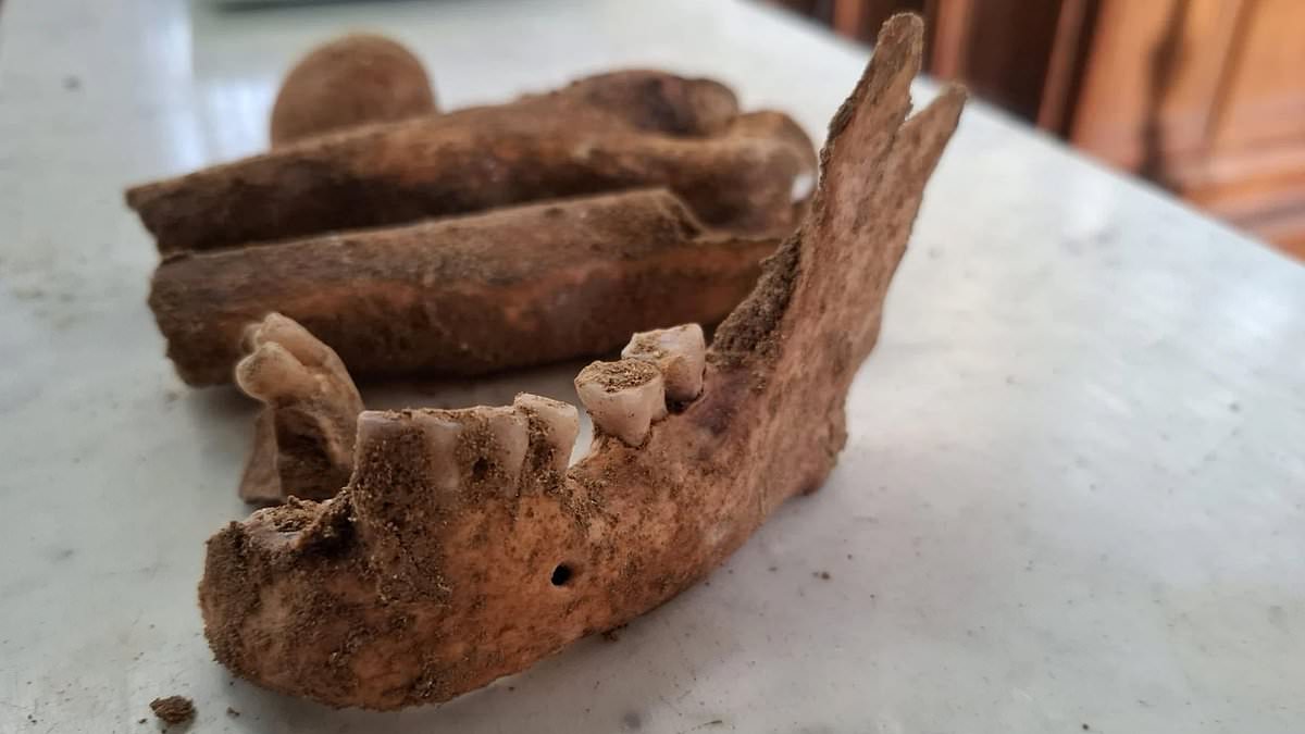 Skeleton Unearthed Beneath Dutch Church May Be D'Artagnan, Musket Ball Evidence Suggests