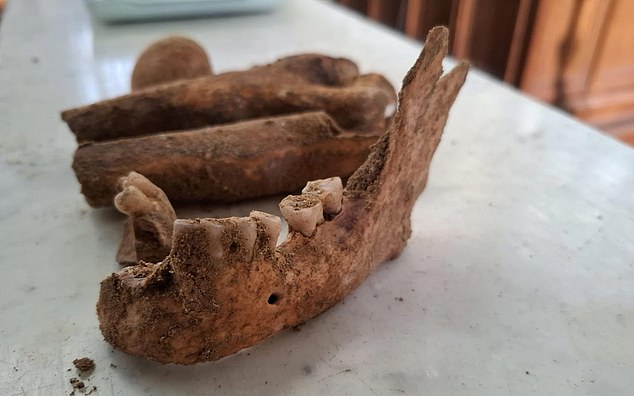 Skeleton Unearthed Beneath Dutch Church May Be D'Artagnan, Musket Ball Evidence Suggests