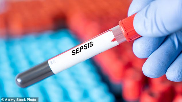 The Surgeon's Knife and the Agony That Followed: Sammi Hassan's Relentless Battle with Endometriosis