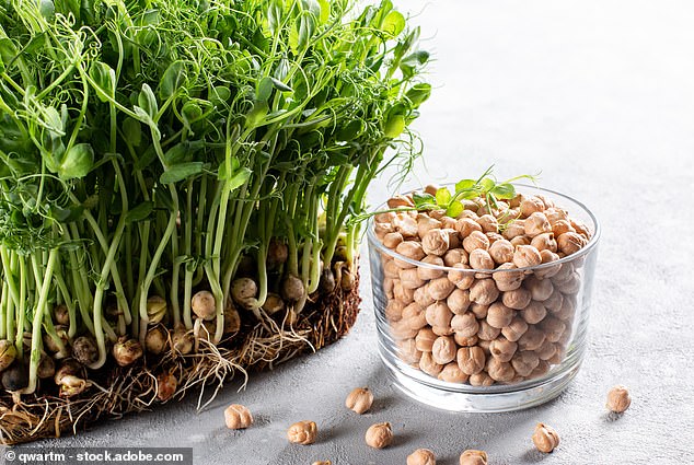 Hummus: Hidden Health Benefits for Cholesterol and Weight Loss