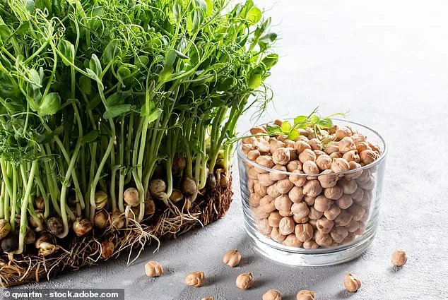 Hummus: Hidden Health Benefits for Cholesterol and Weight Loss