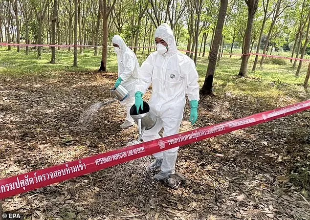 Deadly Anthrax Bacteria Found in Soil Across 43 US States, Scientists Warn