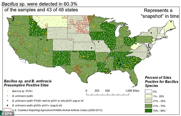 Deadly Anthrax Bacteria Found in Soil Across 43 US States, Scientists Warn