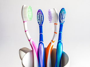 Dr. Freestone Warns: Common Leftovers Hold Hidden Food Poisoning Risks