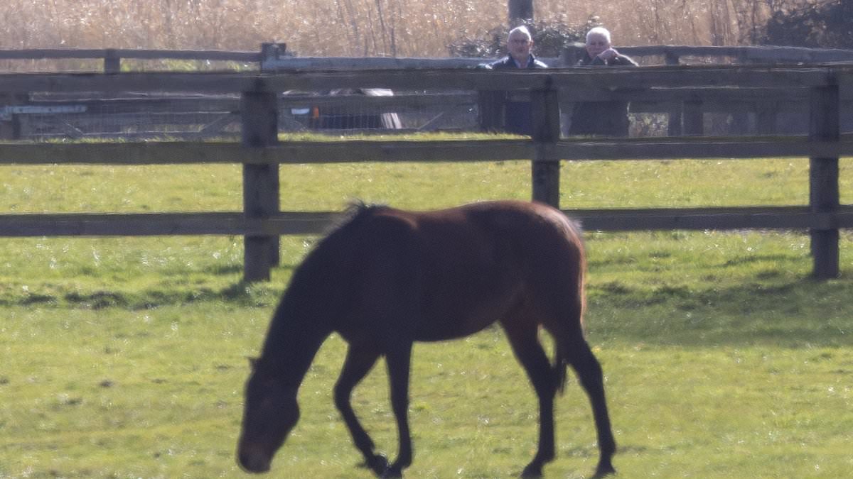 Andrew Mountbatten-Windsor Spotted Defying Alleged Riding Ban Near Norfolk Residence Amid Legal Scrutiny
