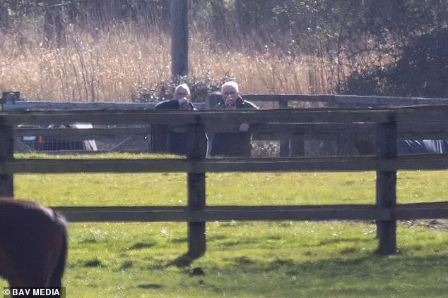 Andrew Mountbatten-Windsor Spotted Defying Alleged Riding Ban Near Norfolk Residence Amid Legal Scrutiny