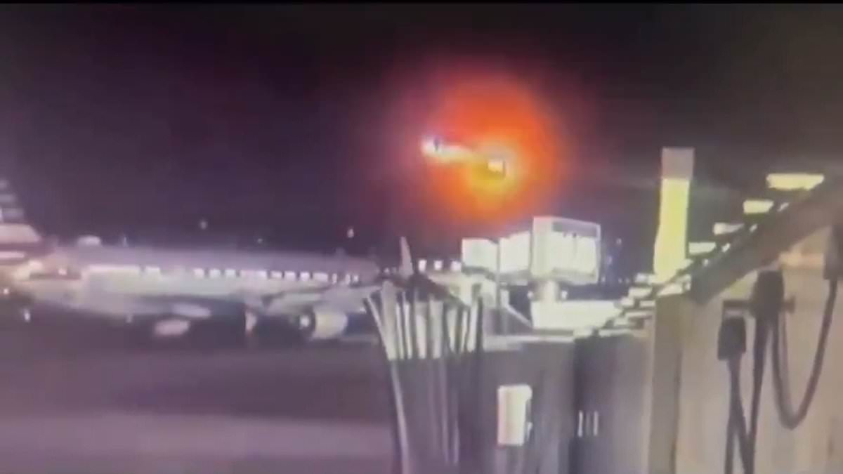 Former Air Traffic Controller Exposes Ignored Warnings That Led to Deadly Mid-Air Collision