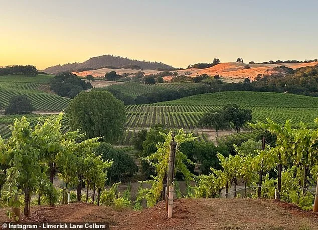 Karen DeGolia's Return to Limerick Lane Cellars: A Journey from Tragedy to Renewal