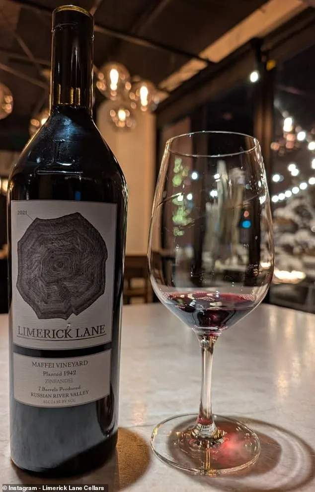 Karen DeGolia's Return to Limerick Lane Cellars: A Journey from Tragedy to Renewal