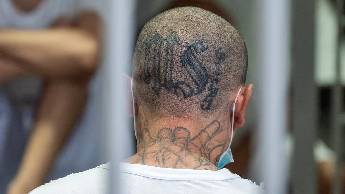 MS-13 Gang Trial Reveals Brutal Murders and 235 Stab Wounds in Las Vegas Courtroom