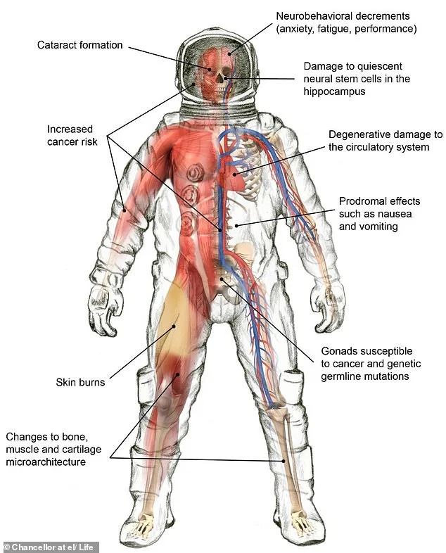 NASA's Artemis II Mission: A Crucible of Physical and Psychological Trials for Astronauts