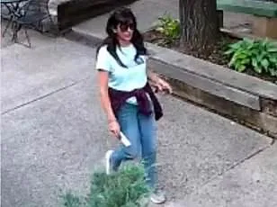 Congress Sets April 2026 Deadline for Release of Classified UFO Videos Amid Transparency Push