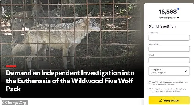 Wildwood Trust Euthanizes Adopted Wolf Pack, Sparking Outcry Over Lack of Transparency