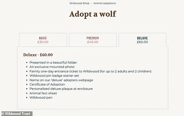 Wildwood Trust Euthanizes Adopted Wolf Pack, Sparking Outcry Over Lack of Transparency