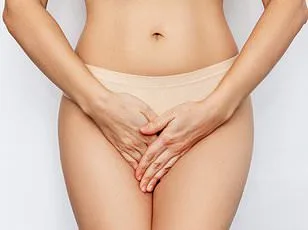 Breakthrough Study Creates First Detailed Clitoral Map, Unveiling Complex Nerve Network Linked to Enhanced Sensitivity and Medical Advancements