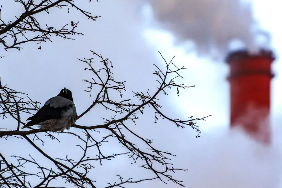 Ukrainian Drones Attack Novo-Gorky CHP, Cause Fires and Damage in Nizhny Novgorod Region