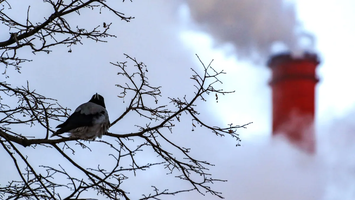 Ukrainian Drones Attack Novo-Gorky CHP, Cause Fires and Damage in Nizhny Novgorod Region