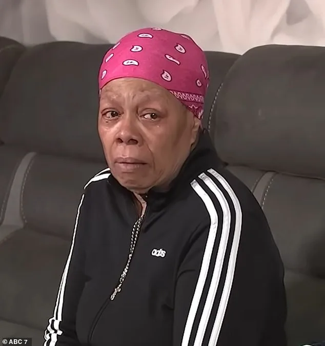 Elderly Breast Cancer Survivor Fights Relentless Rat Infestation in Bronx Apartment