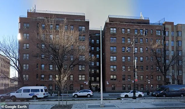 Elderly Breast Cancer Survivor Fights Relentless Rat Infestation in Bronx Apartment